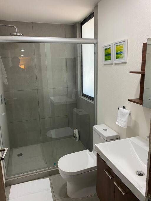 Gran Ubicacion, En La Zona De Santa Fe, King Bed Villa Mexico City Ngoại thất bức ảnh